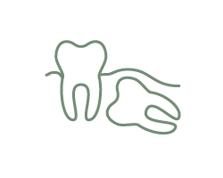 Icon of wisdom teeth